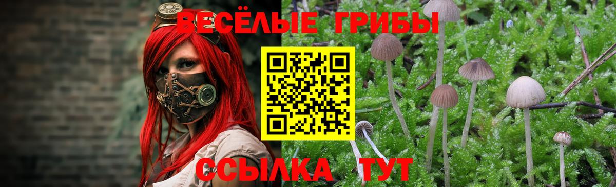Псилоцибиновые грибы мицелий  Вход с VPN  Михайловка 